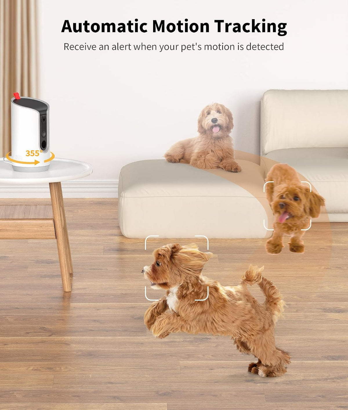 Automatic motion tracking follows a running dog