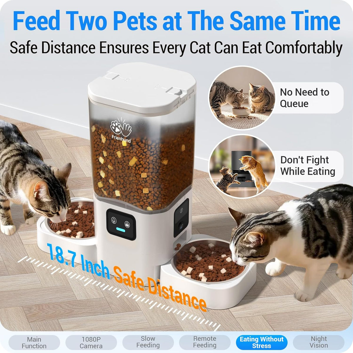 Two cats eating side by side from the dual-bowl feeder