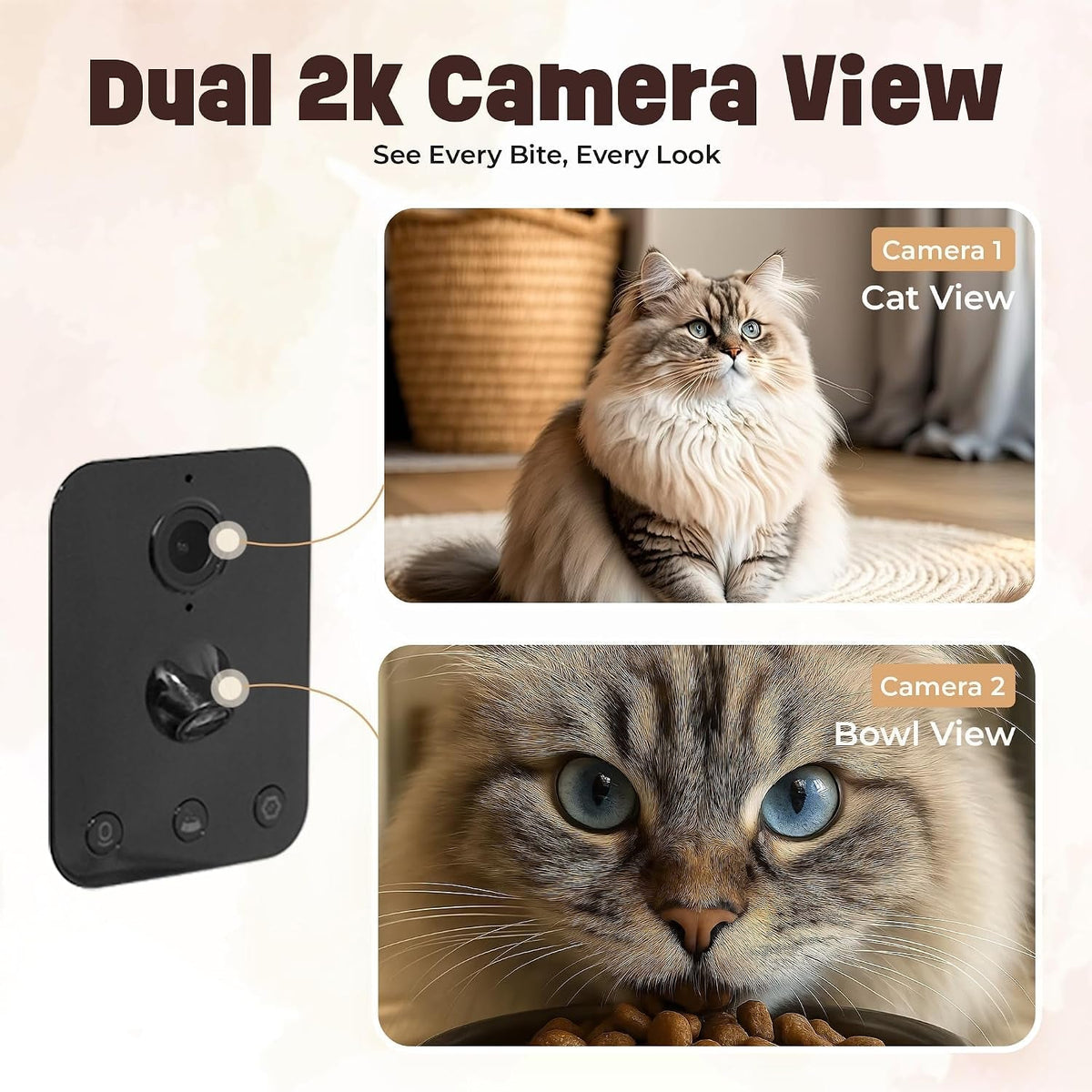 Dual 2K camera view: camera 1 shows the cat, camera 2 shows the bowl