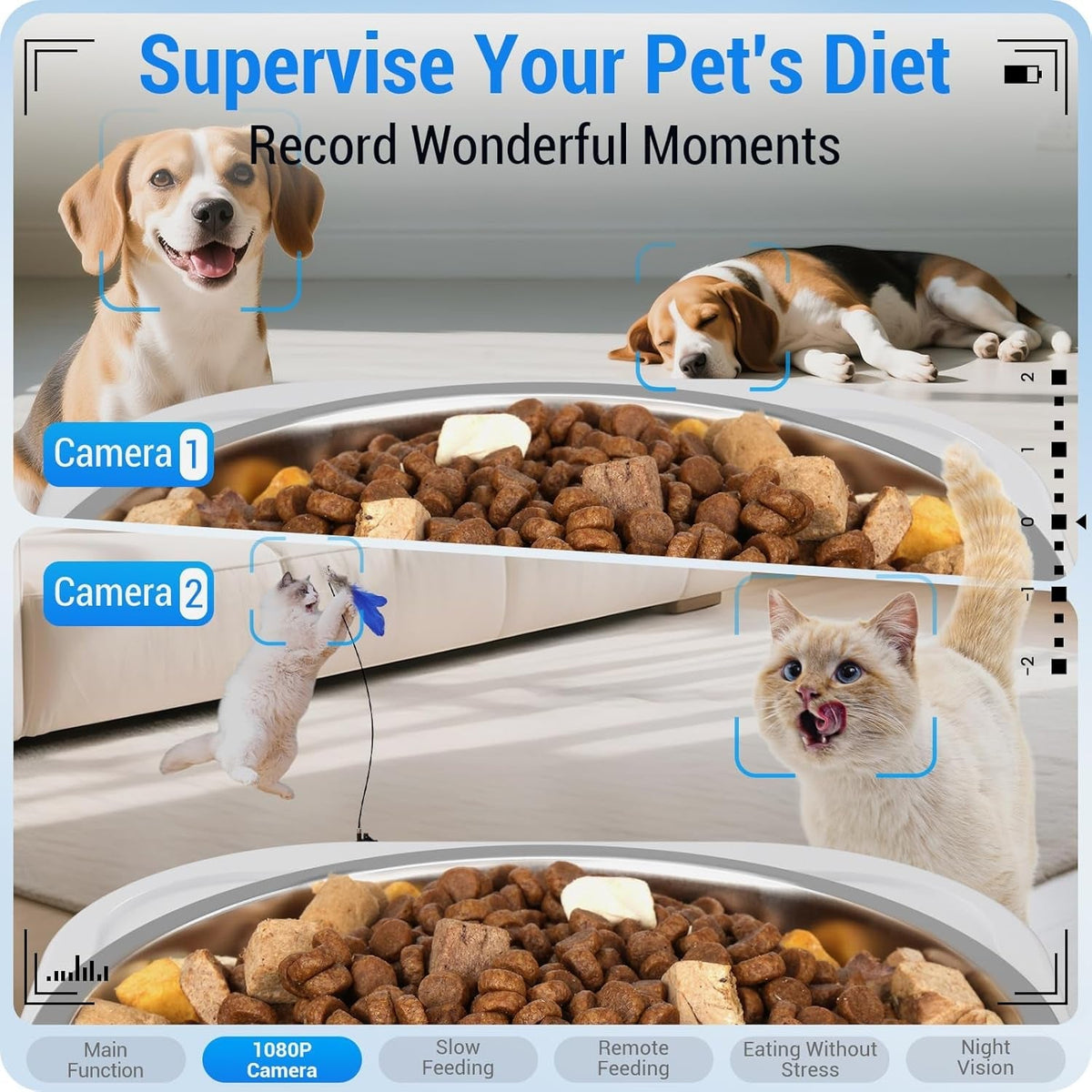 Two cameras, one per bowl, to watch each pet eat