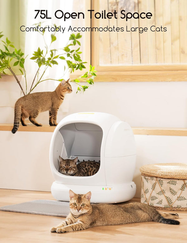 Smart Self-Cleaning Litter Box with App & Advanced Safety Features