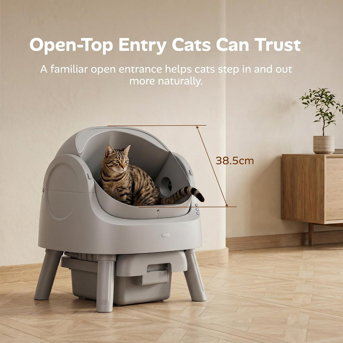 Open-top entry that cats step in and out of naturally