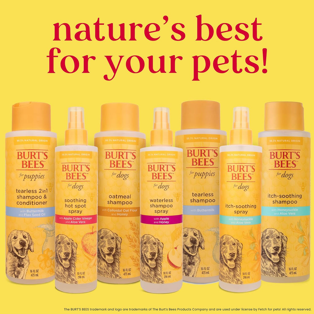 Naturally Derived Waterless Shampoo Spray with Apple and Honey - Dry Dog Shampoo for All Dogs and Puppies - Cruelty Free, 10 Ounces