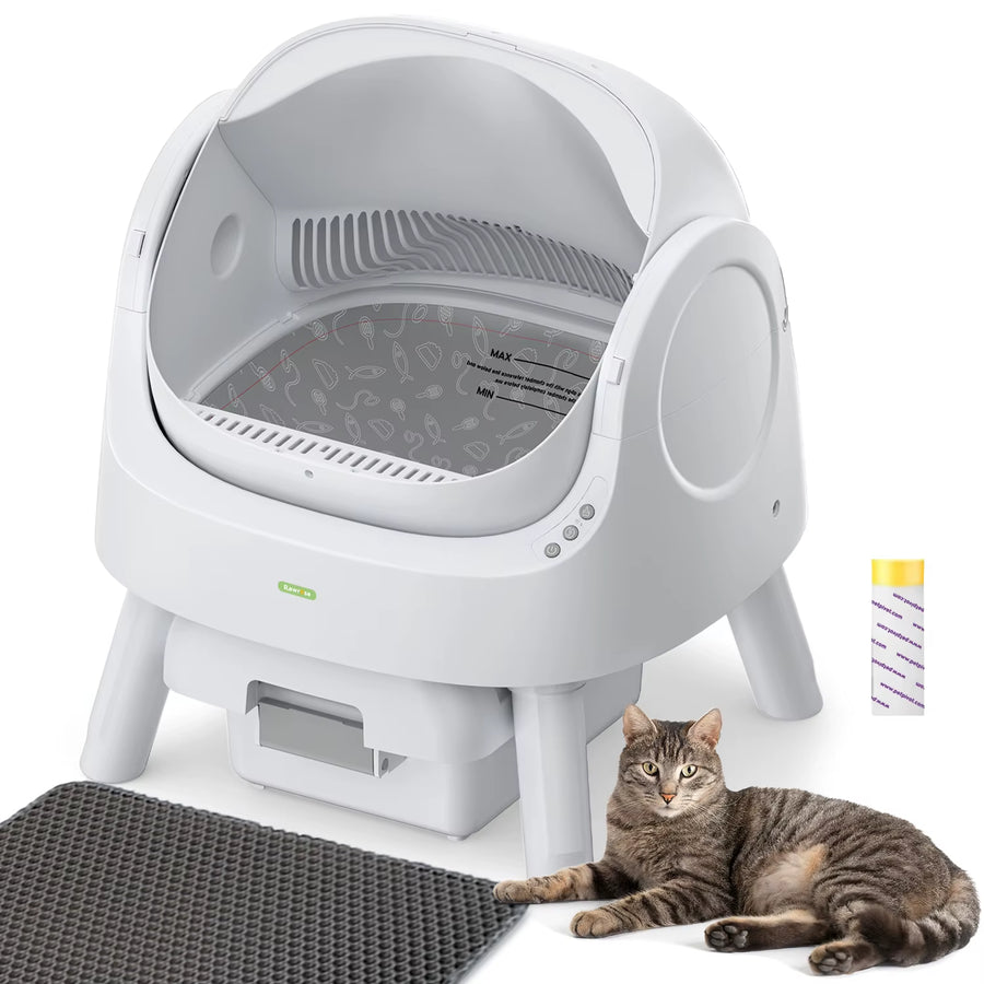 Self-Cleaning Litter Box