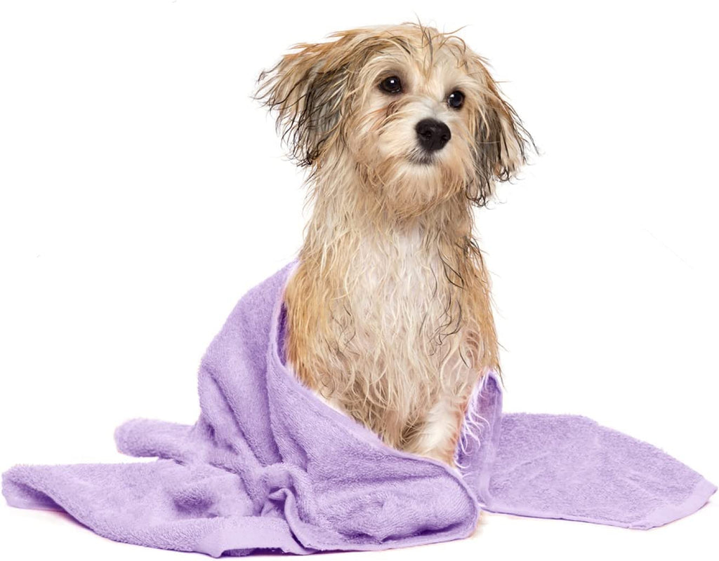 100% Cotton Dog Bath Towel Ultra Soft 450 GSM Super Absorbent Quick Drying Paw Embroidered Pattern and Lint-Free Cat, Puppy & Pet Grooming Towel | 20X40 Inches | Crocus Petal