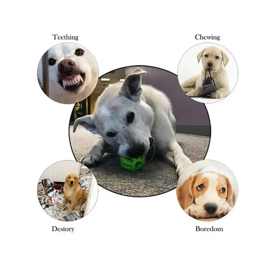 FANGANG Rubber Indestructible Treat Dispensing Chew Ball Hiding Food Puzzle Bite Dog Ball Toy for Pet Tooth Cleaning Durable Dog Chew Toy 1 Pack 2 Balls