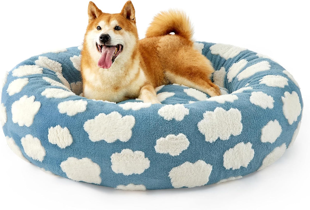Shiba Inu lying in the cloud-print donut bed