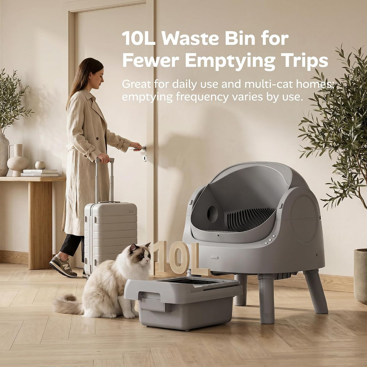 Mimfam self-cleaning litter box feature image