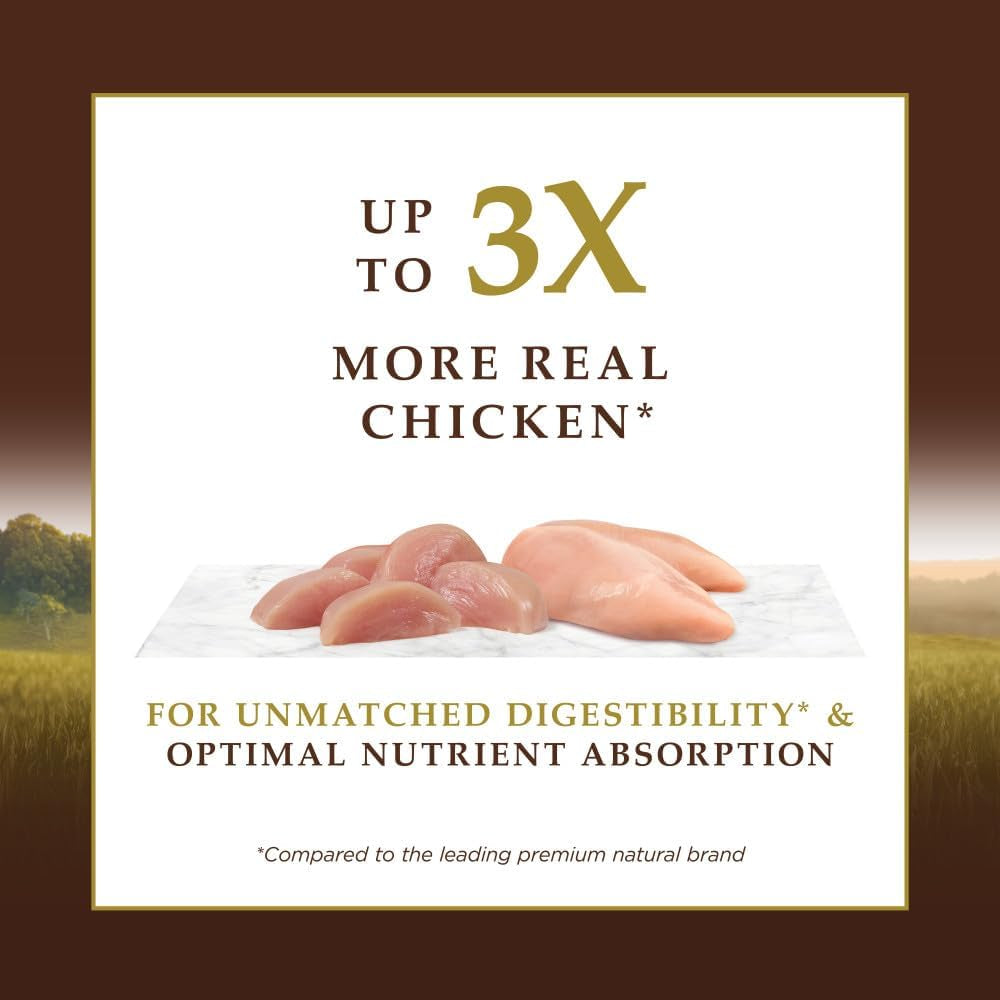 Ultimate Protein Grain Free Cage Free Chicken Recipe Natural Dry Cat Food, 10 Lb. Bag