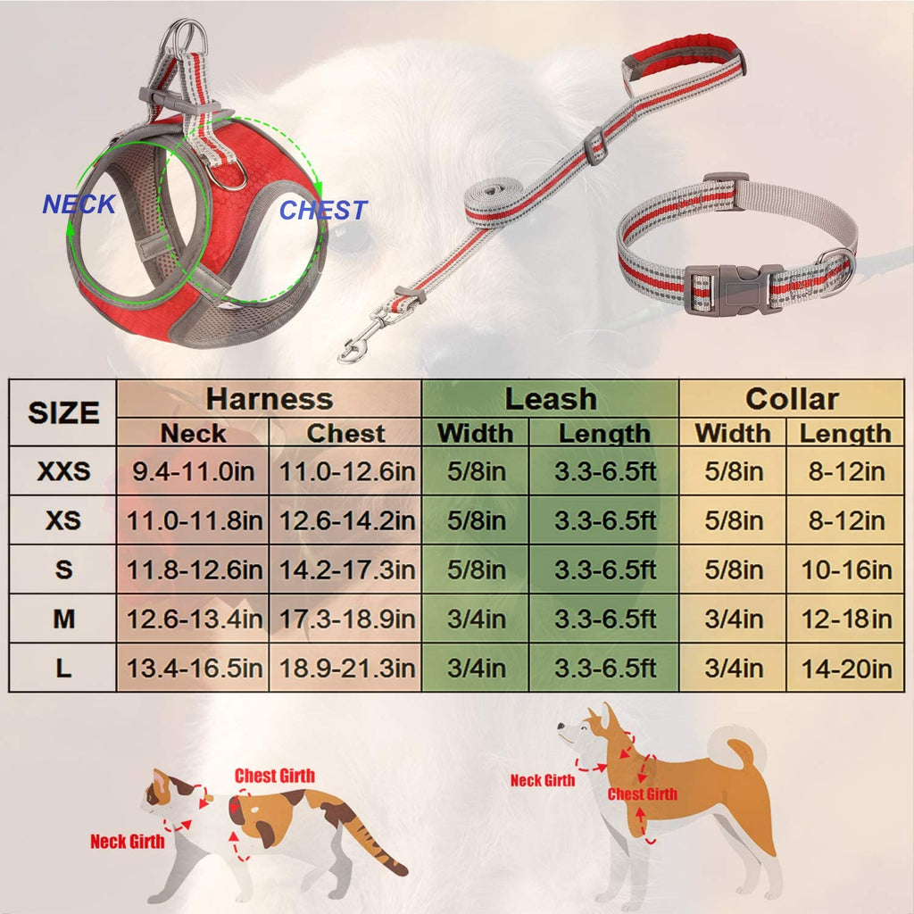 Small Dog Harness,Puppy Harness,Adjustable Leash and Collar Set for Small Dogs,Step-In Dog Harness,3M Reflective Pet Dog Vest for Small Medium Puppy