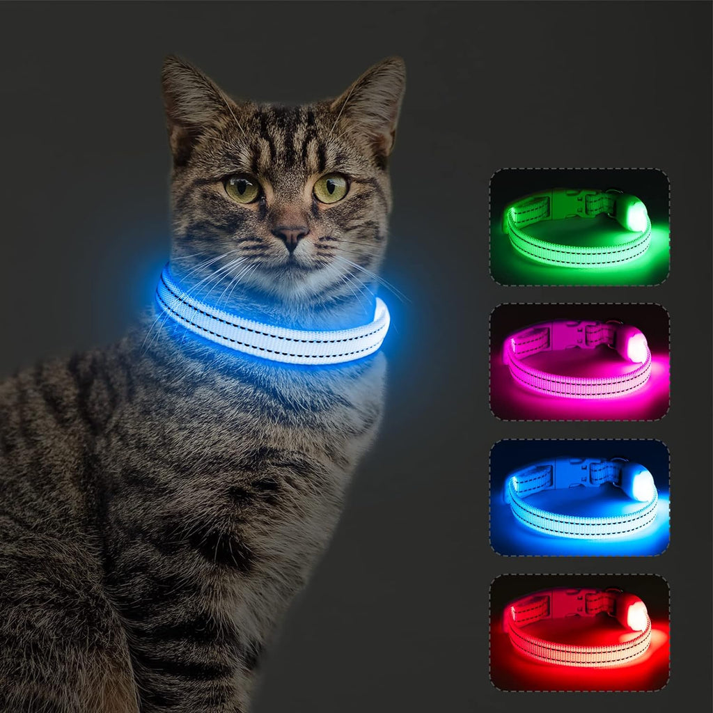 Light up Dog Collars - Reflective LED Dog Collar Rechargeable Puppy Collar Lighted Cat Collar Glow in the Dark Dog Lights for Small Dogs & Cats (X-Small, Blue)