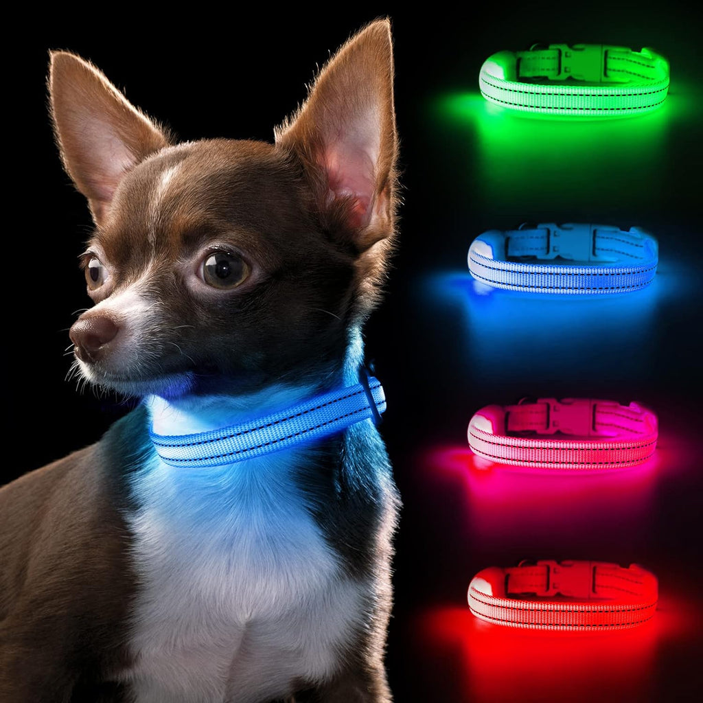 Light up Dog Collars - Reflective LED Dog Collar Rechargeable Puppy Collar Lighted Cat Collar Glow in the Dark Dog Lights for Small Dogs & Cats (X-Small, Blue)