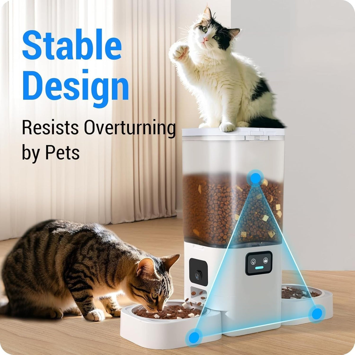 Stable, wide base that resists tipping, with a cat sitting on top
