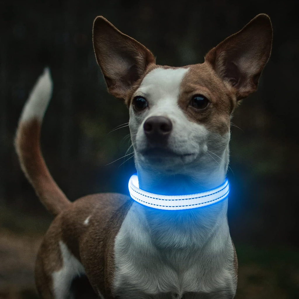 Light up Dog Collars - Reflective LED Dog Collar Rechargeable Puppy Collar Lighted Cat Collar Glow in the Dark Dog Lights for Small Dogs & Cats (X-Small, Blue)