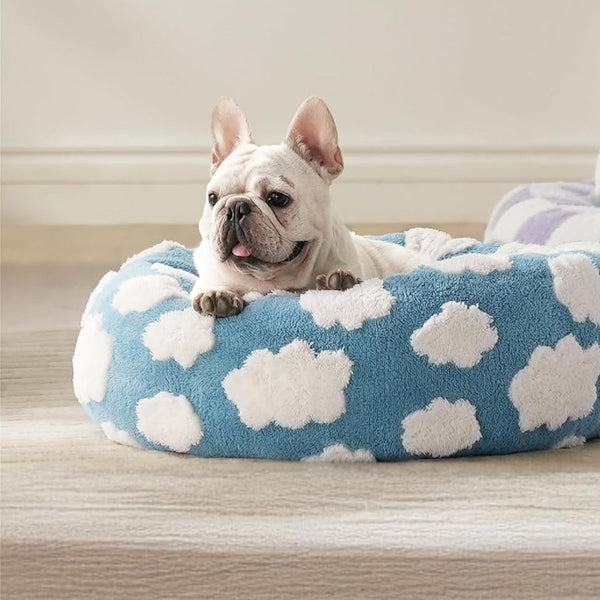 French bulldog resting in a cloud-pattern donut bed